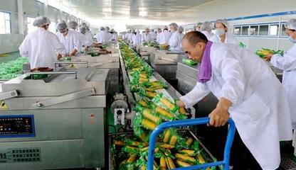 我國(guó)農(nóng)副產(chǎn)品加工存在的問(wèn)題與對(duì)策