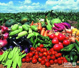 東莞工廠食堂一體化餐飲服務(wù)解決方案 蔬菜配送、食堂承包與糧油農(nóng)產(chǎn)品供應(yīng)